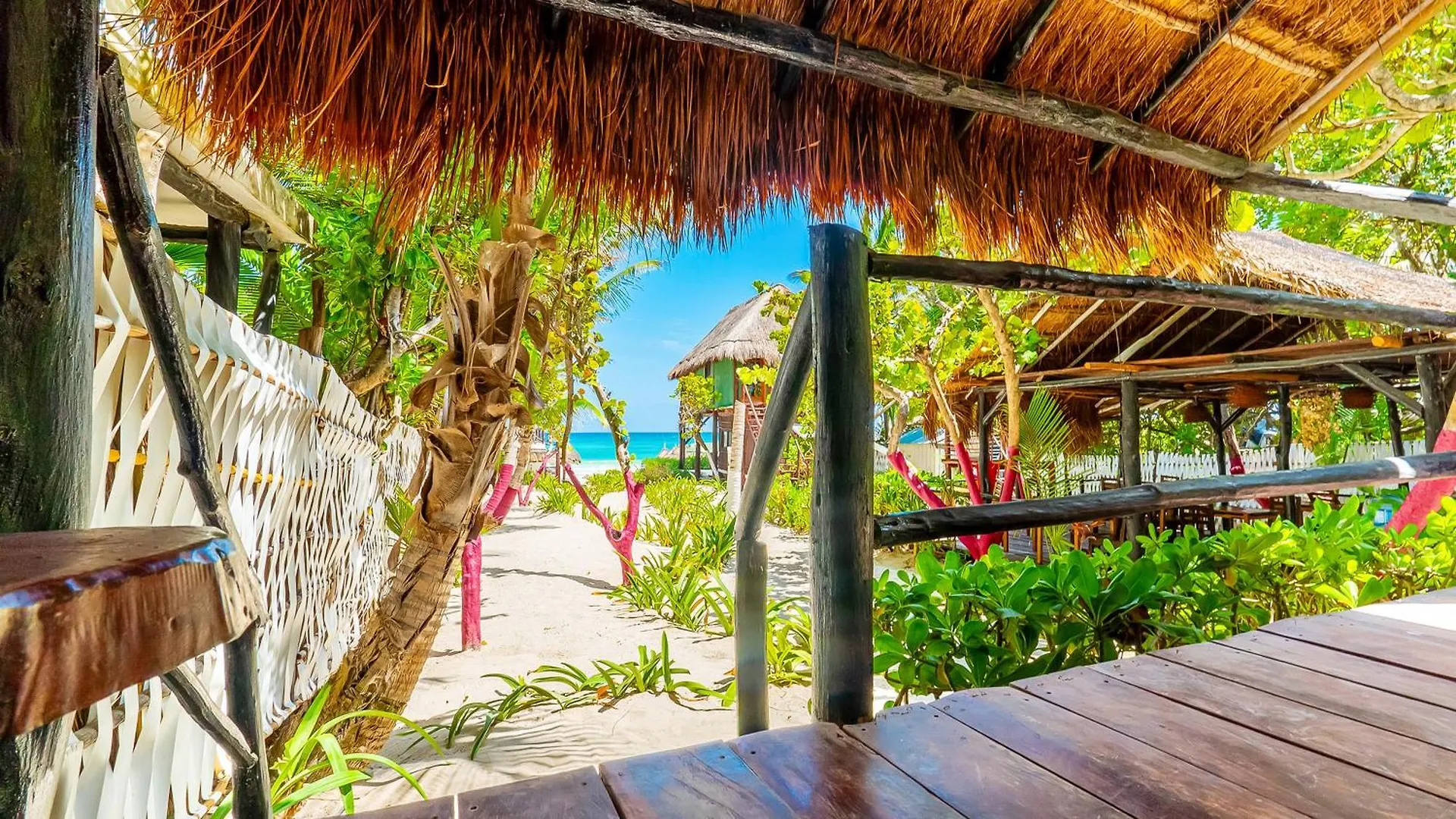 Oda ve Kahvaltı Chancabanita Tulum