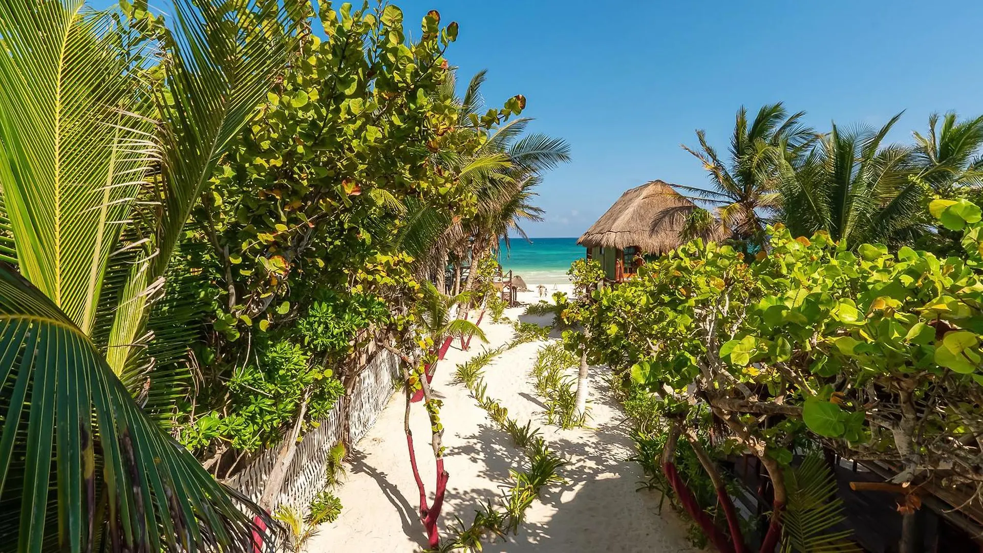 *** Oda ve Kahvaltı Chancabanita Tulum Meksika